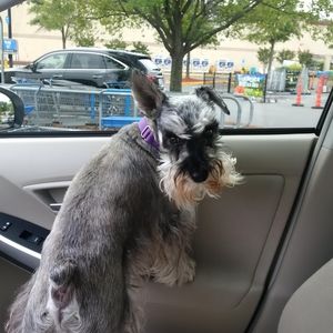 Meet your Posher, David